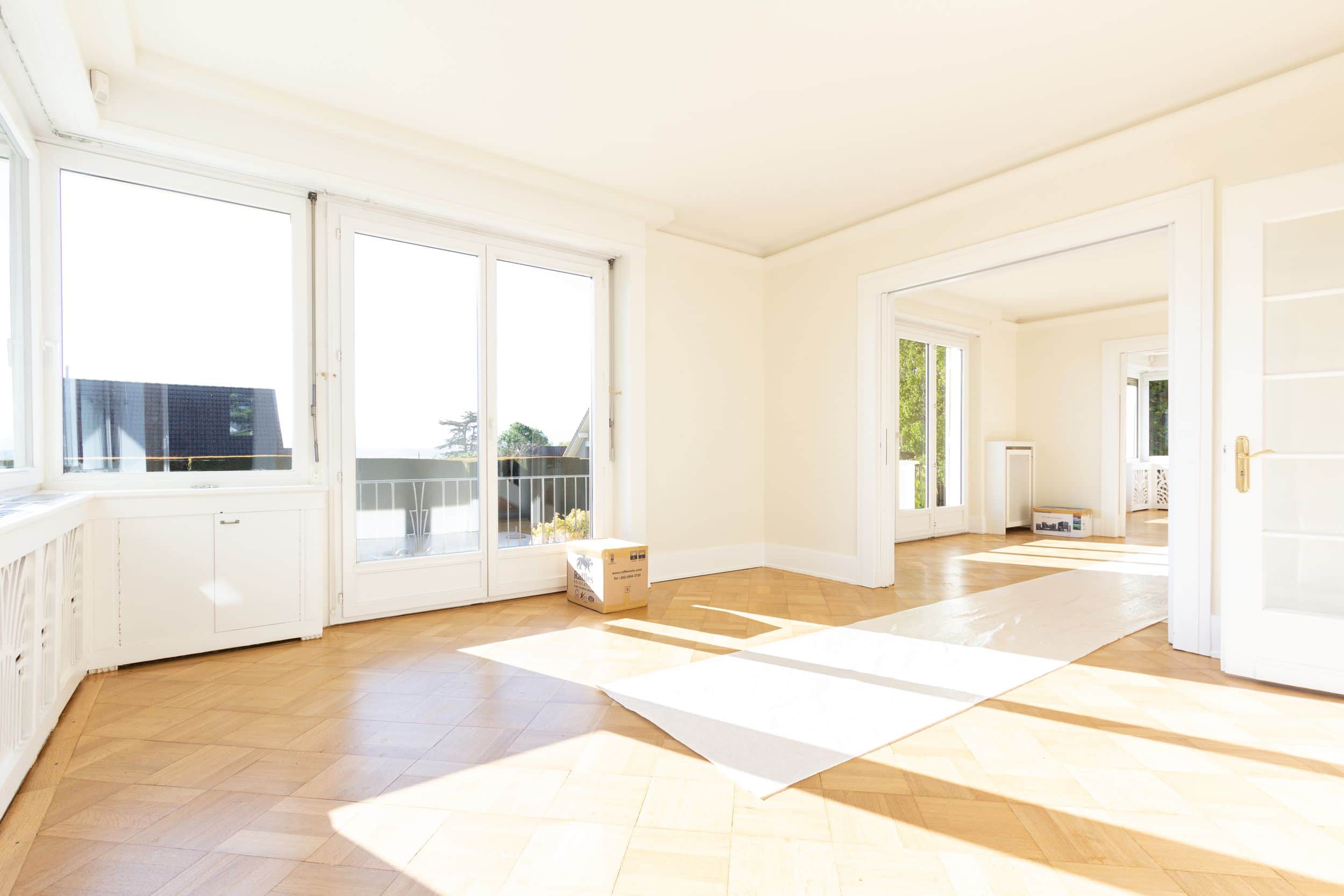 peinture salon founex